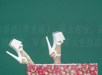 AISS爱丝(黄金版) – 带上若兮，展开旅行日记，享受美图与人生百态