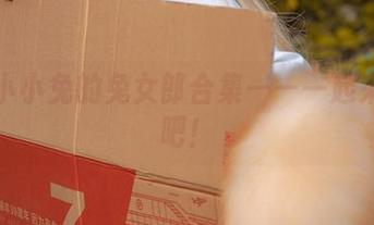 咬人小小兔的兔女郎合集——一起来捉她吧！